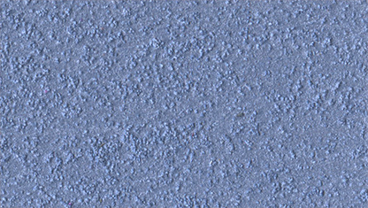 Marcopolo Sable/1 Lt.