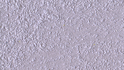 Marcopolo Sable/1 Lt.