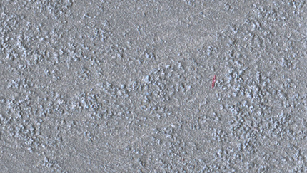 Marcopolo Sable/1 Lt.