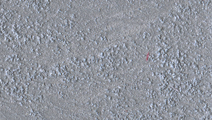 Marcopolo Sable/1 Lt.