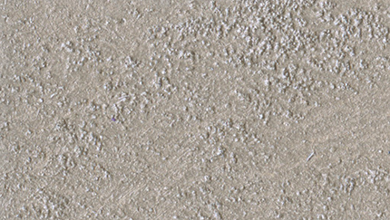 Marcopolo Sable/1 Lt.