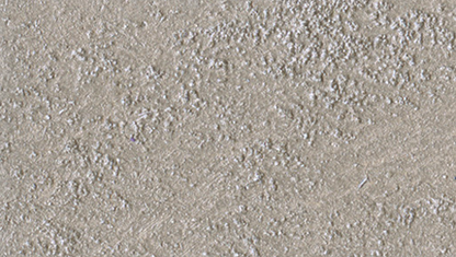 Marcopolo Sable/1 Lt.