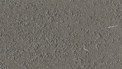 Marcopolo Sable/1 Lt.