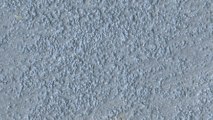 Marcopolo Sable/1 Lt.