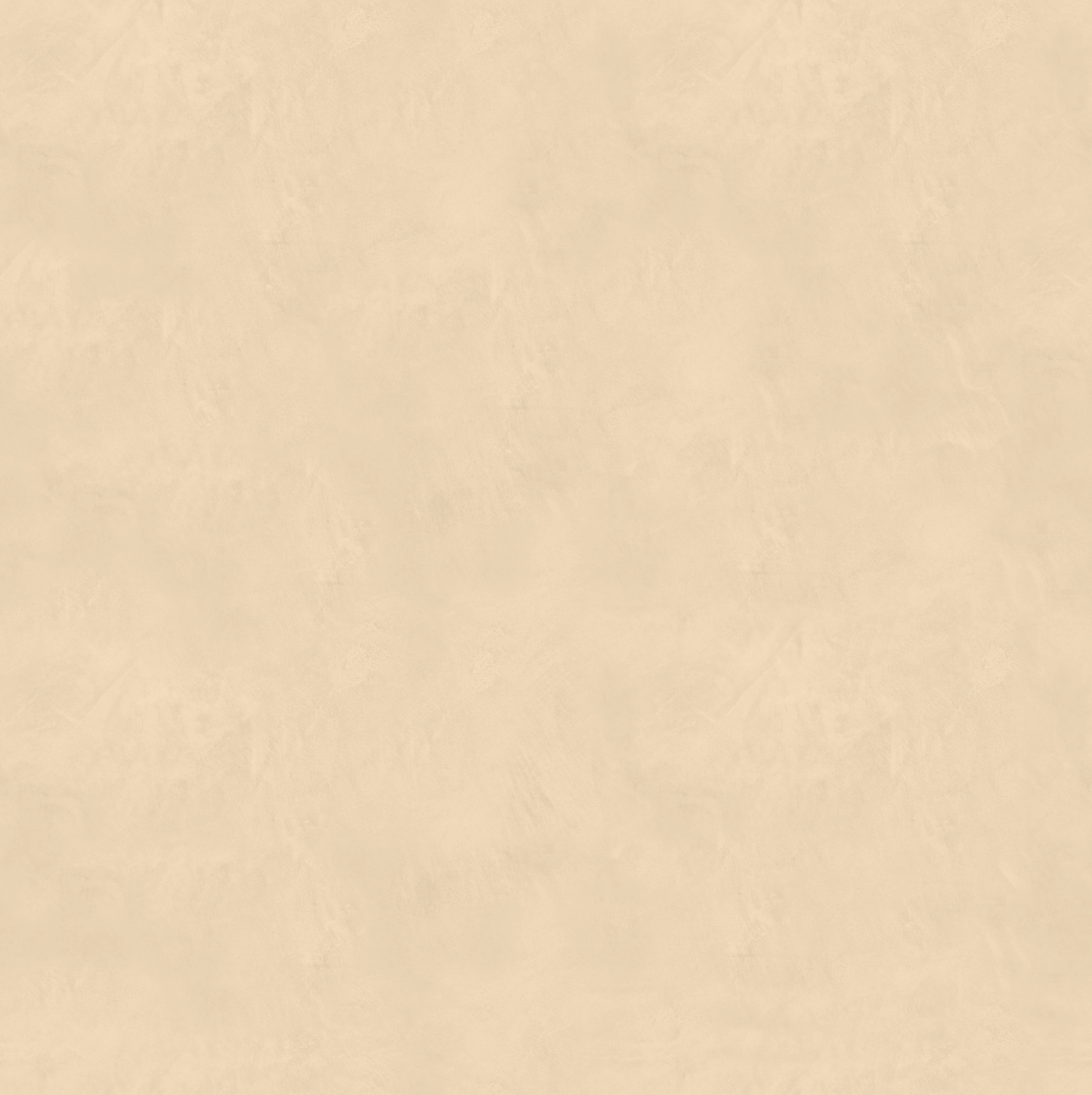 Marmorino CLASSICO T-Colore Uno