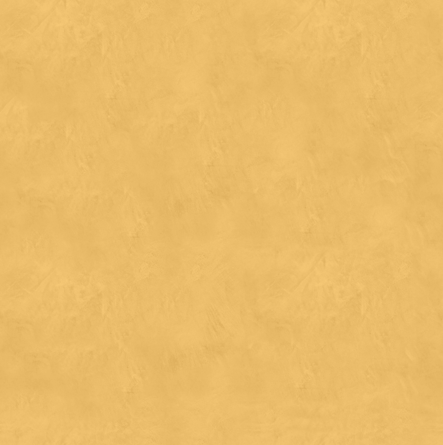 Marmorino CLASSICO T-Colore Uno