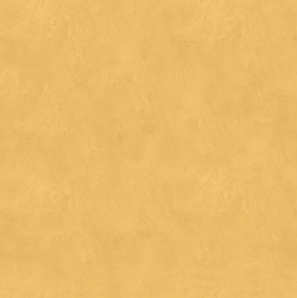 Marmorino CLASSICO T-Colore Uno