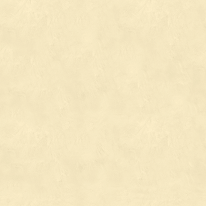 Marmorino CLASSICO T-Colore Uno