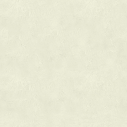 Marmorino CLASSICO T-Colore Uno