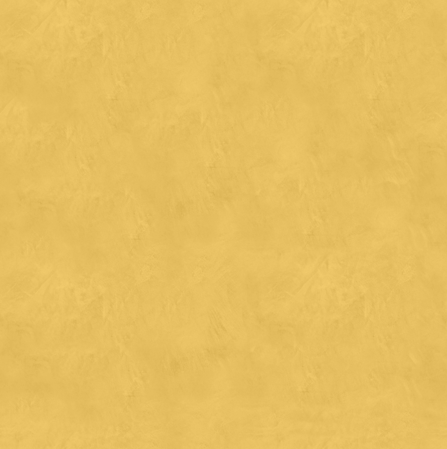 Marmorino CLASSICO T-Colore Uno