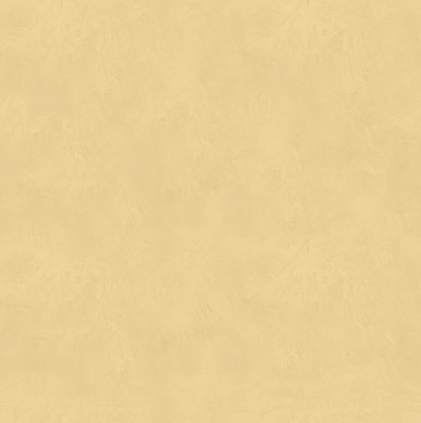 Marmorino CLASSICO T-Colore Uno