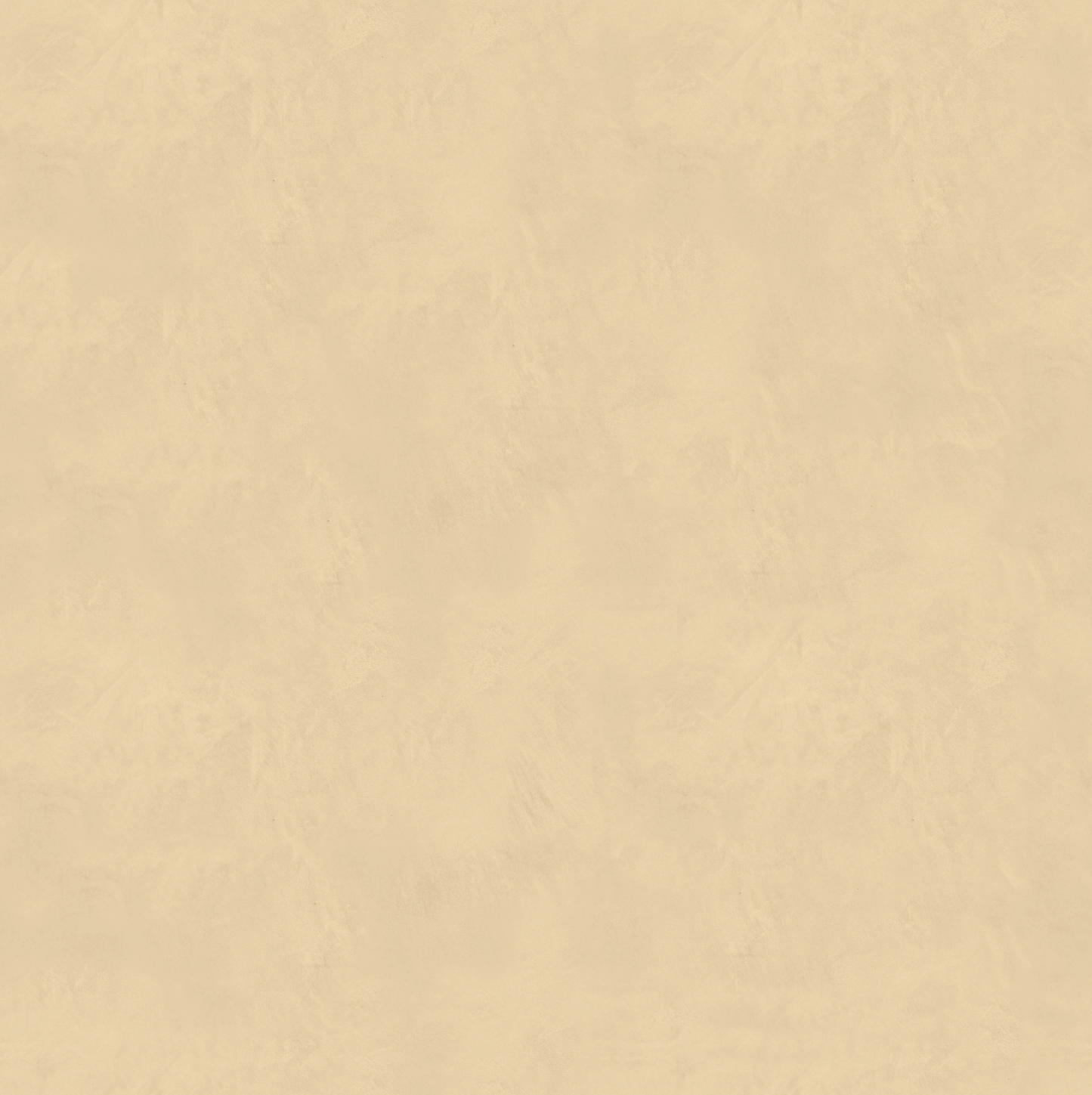 Marmorino CLASSICO T-Colore Uno