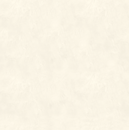 Marmorino CLASSICO T-Colore Uno