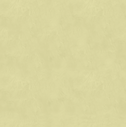 Marmorino CLASSICO T-Colore Uno