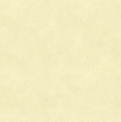 Marmorino CLASSICO T-Colore Uno