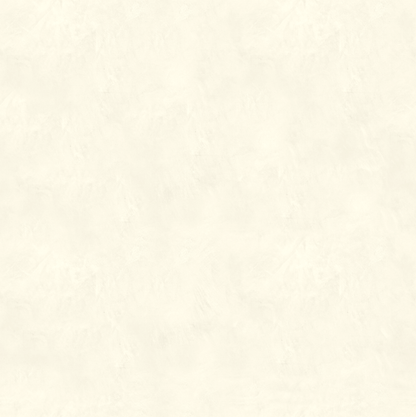 Marmorino CLASSICO T-Colore Uno