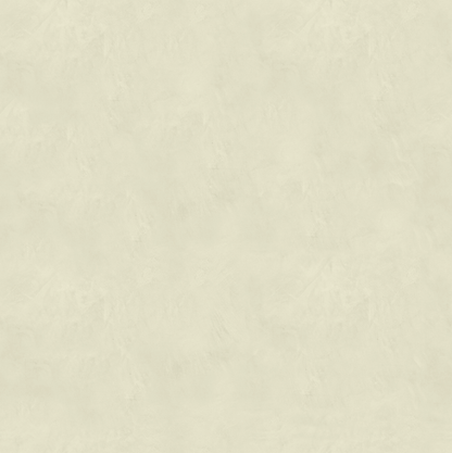 Marmorino CLASSICO T-Colore Uno