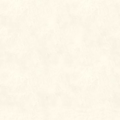 Marmorino CLASSICO T-Colore Tre