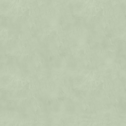 Marmorino CLASSICO T-Colore Cinque