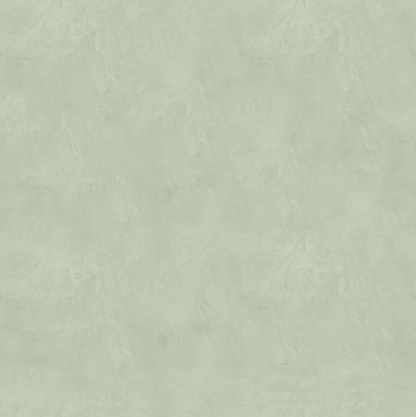 Marmorino CLASSICO T-Colore Cinque