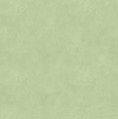 Marmorino CLASSICO T-Colore Cinque