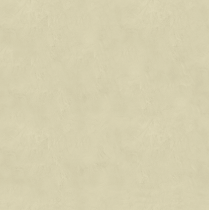 Marmorino CLASSICO T-Colore Cinque