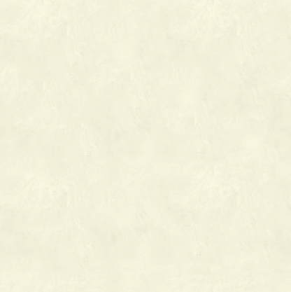 Marmorino CLASSICO T-Colore Cinque