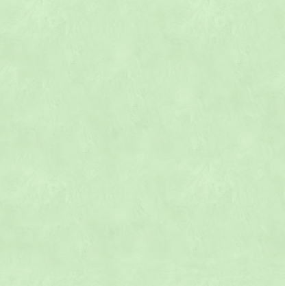 Marmorino CLASSICO T-Colore Cinque