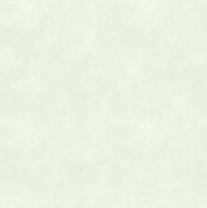 Marmorino CLASSICO T-Colore Cinque