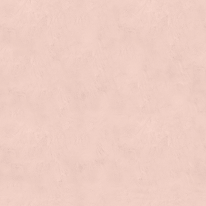 Marmorino FINE T-Colore Due