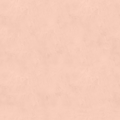 Marmorino FINE T-Colore Due