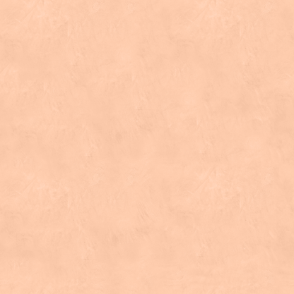 Marmorino FINE T-Colore Uno