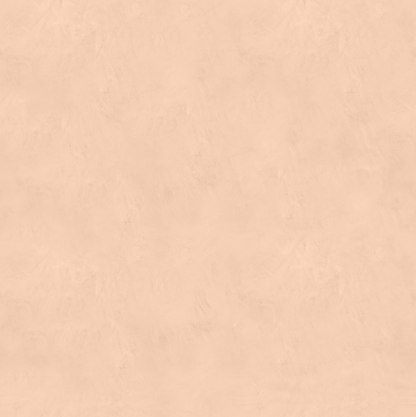 Marmorino FINE T-Colore Uno