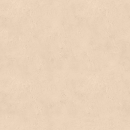 Marmorino FINE T-Colore Uno