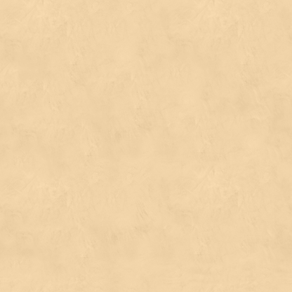 Marmorino FINE T-Colore Uno