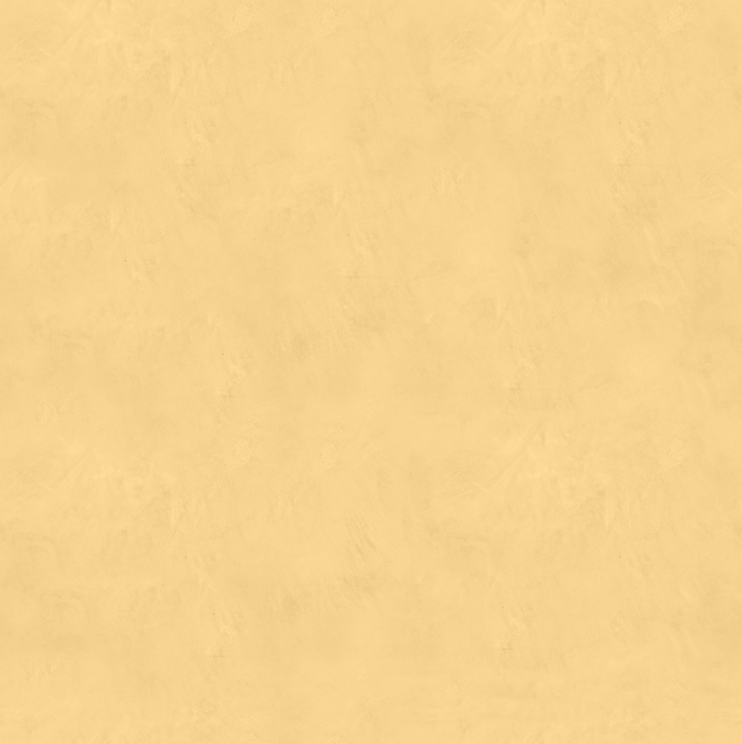 Marmorino FINE T-Colore Uno