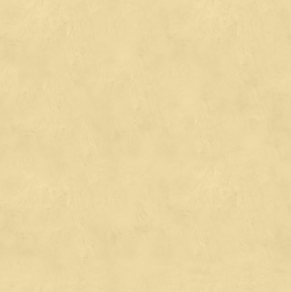 Marmorino FINE T-Colore Uno