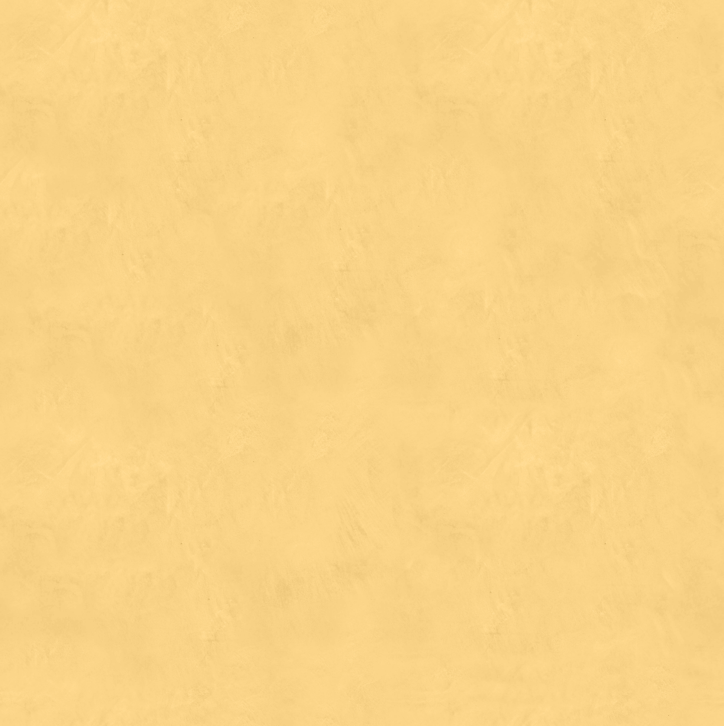 Marmorino FINE T-Colore Uno