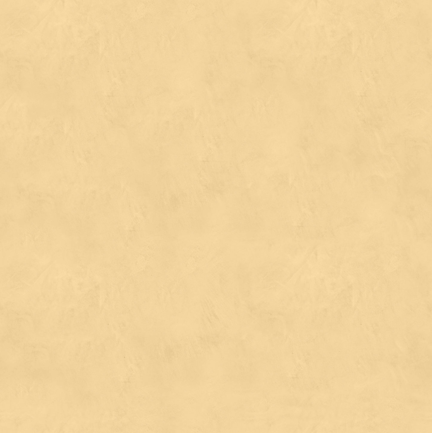 Marmorino FINE T-Colore Uno