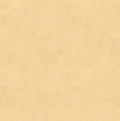 Marmorino FINE T-Colore Uno