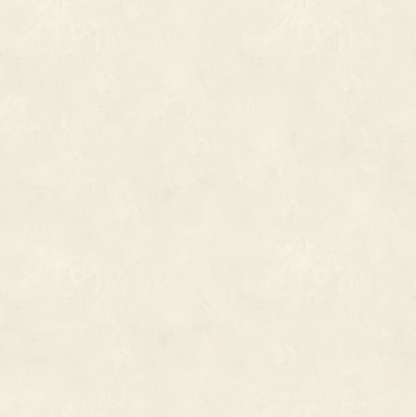 Marmorino FINE T-Colore Uno