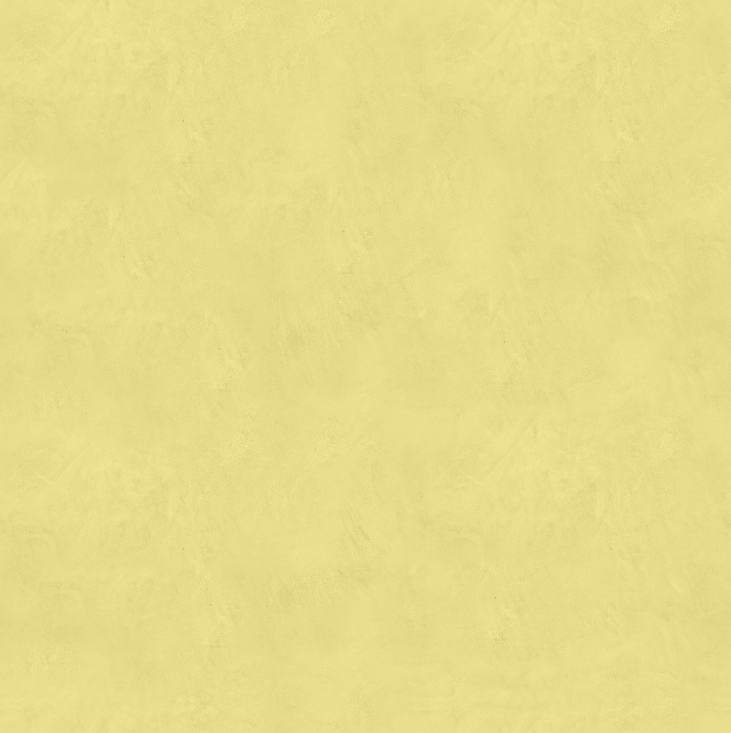 Marmorino FINE T-Colore Uno