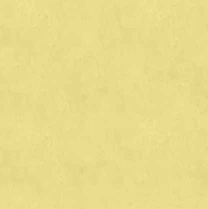 Marmorino FINE T-Colore Uno