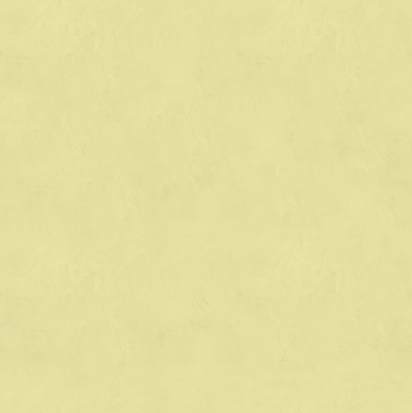 Marmorino FINE T-Colore Uno