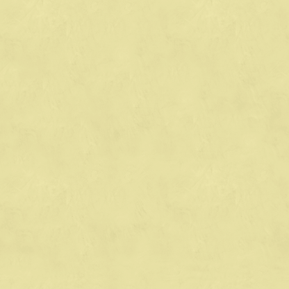 Marmorino FINE T-Colore Uno