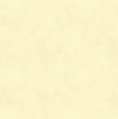 Marmorino FINE T-Colore Uno