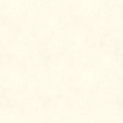 Marmorino FINE T-Colore Uno