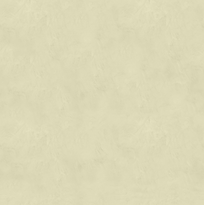 Marmorino FINE T-Colore Uno