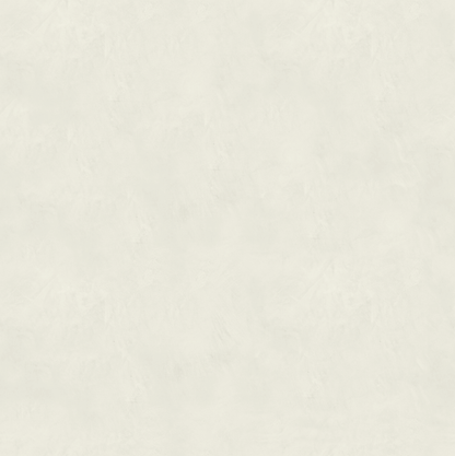 Marmorino FINE T-Colore Quattro