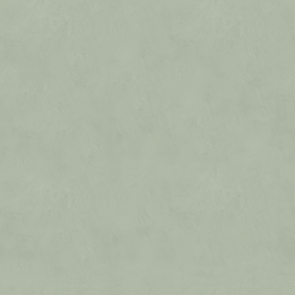 Marmorino FINE T-Colore Cinque